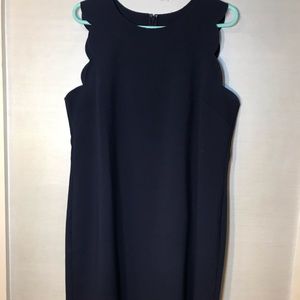 J crew plus size navy scalloped dress